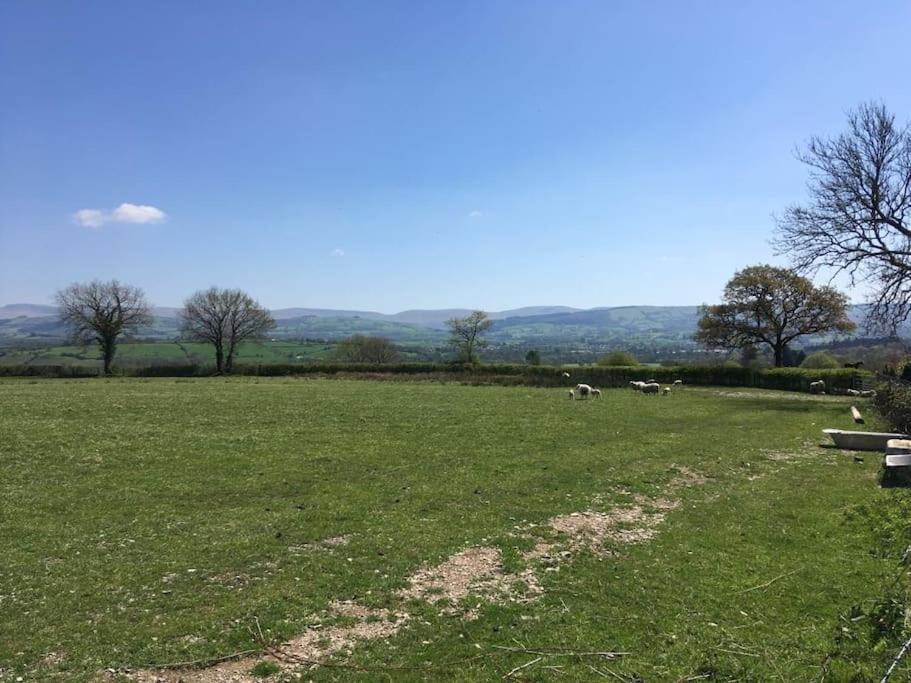 Perfect Cottage Retreat Near The Brecon Beacons Llanwrda Exterior photo